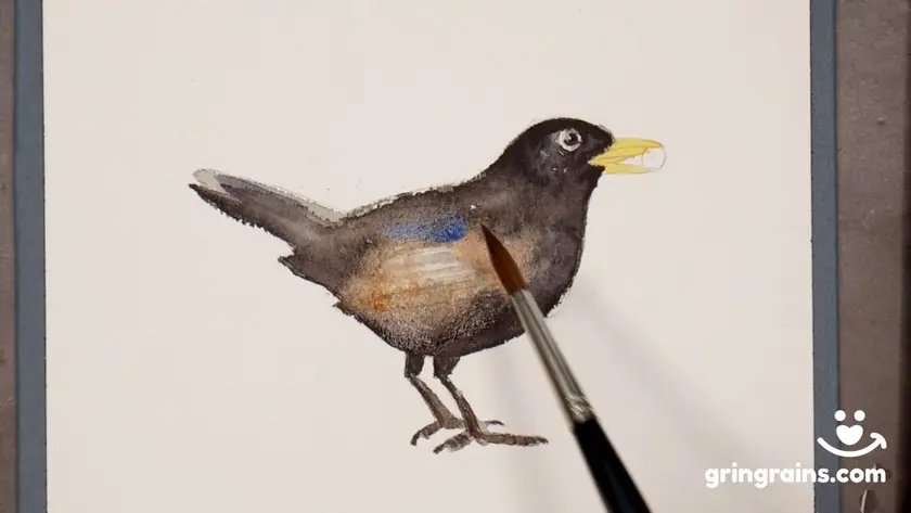 Ein Bild wie ich eine Amsel male
