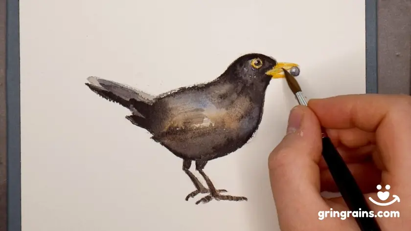 Ein Bild wie ich eine Amsel male