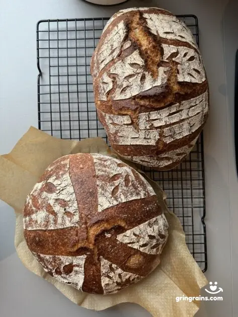 Rustikales Brot auf einem Backgitter